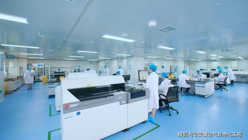 合肥工廠實(shí)驗(yàn)室裝修改造工程需要注意哪些